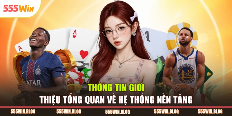 Thông tin giới thiệu tổng quan về hệ thống nền tảng